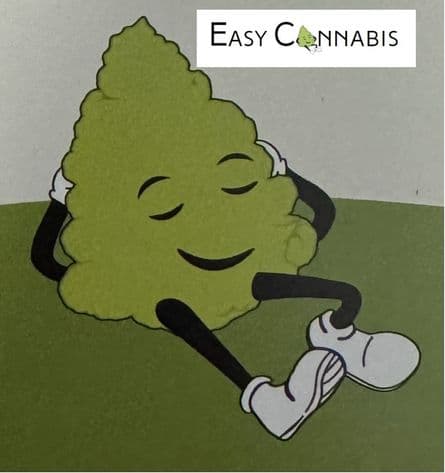 EasyCannabis easyApotheke CityLebenstedt