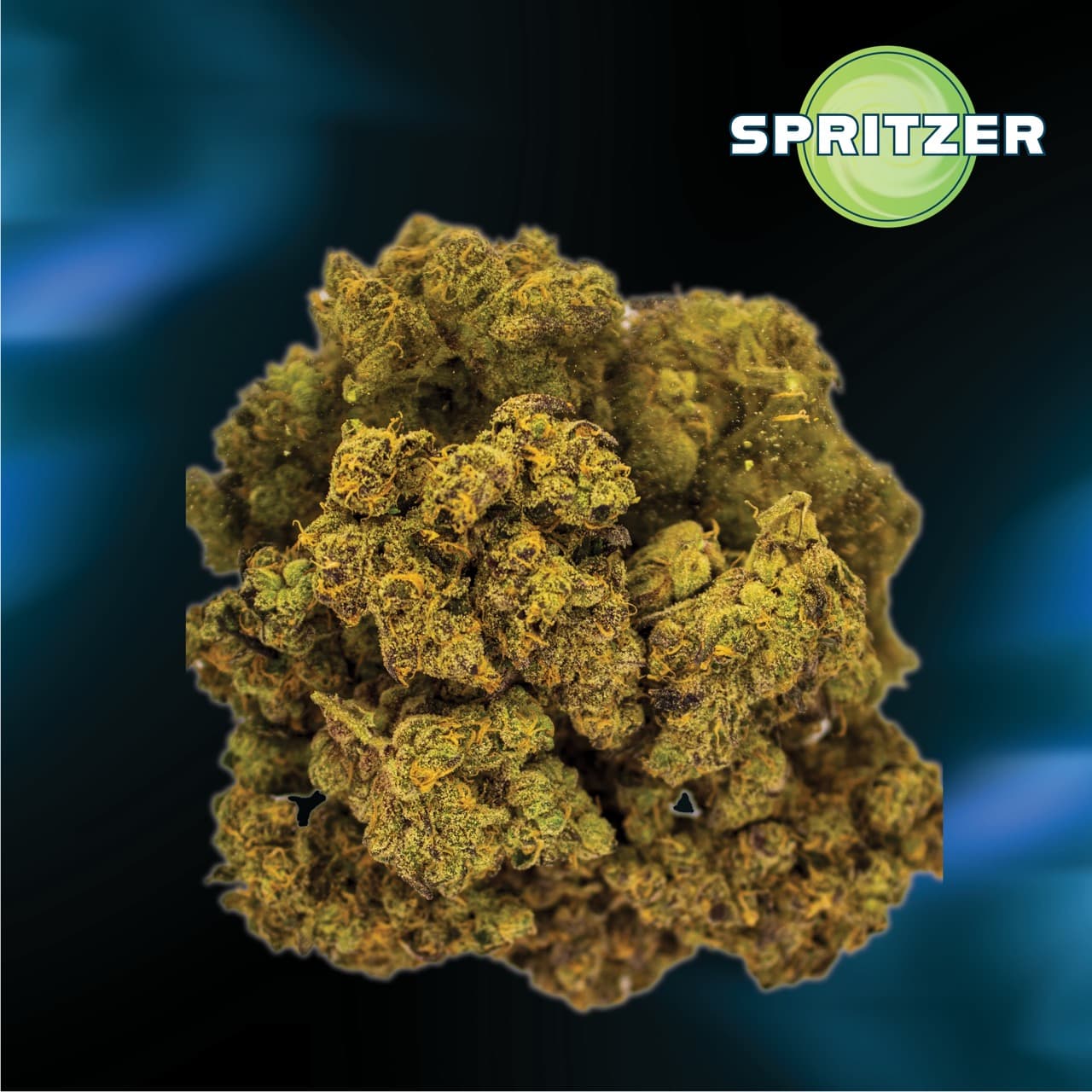 Phcann Exotics 32/1 Spritzer