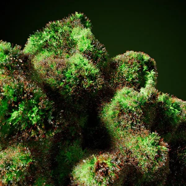 Standard-Bildbeschreibungstext