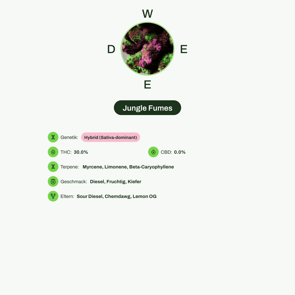 Infografik über THC-Gehalt, CBD-Gehalt, Terpene, Wirkungen, Geschmack von Jungle Fumes