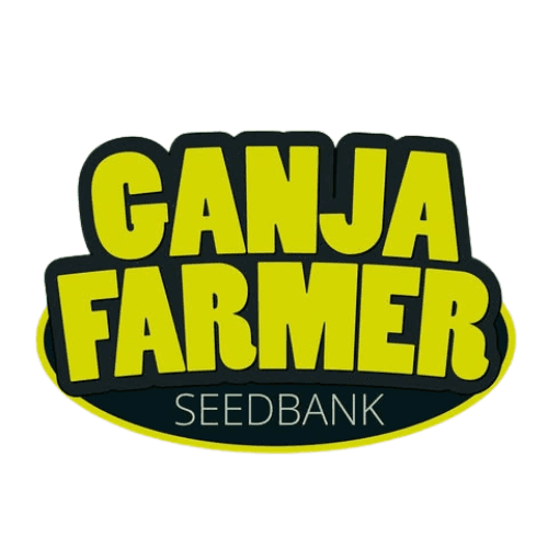 strainDetail.seeds.imageAlt