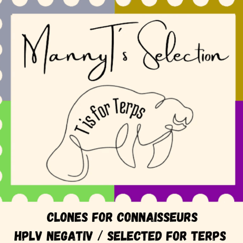 strainDetail.seeds.imageAlt