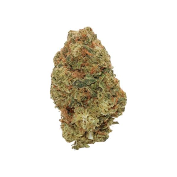 Cannabis der Sorte Cement Shoes