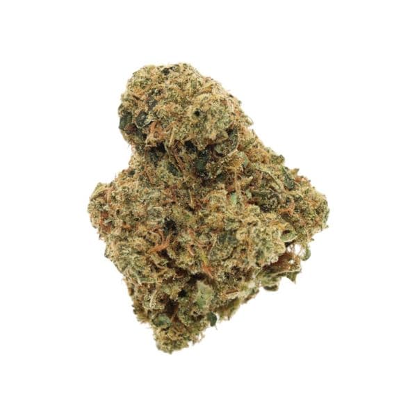 Cannabis der Sorte Dirty Taxi