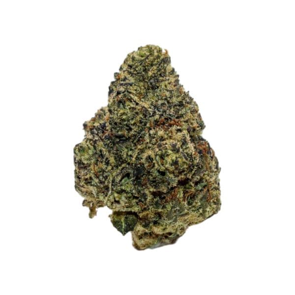 Cannabis der Sorte Pavé Runtz