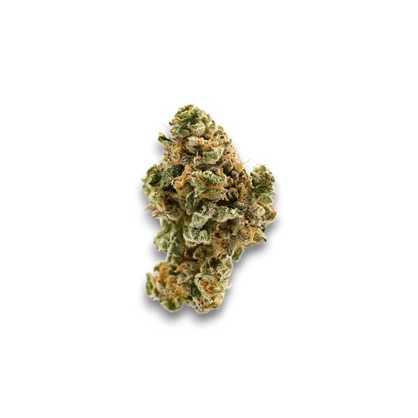 Cannabis der Sorte Jelly Mints