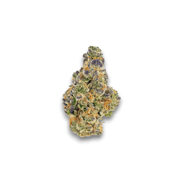 Cannabis der Sorte Grape Crusher