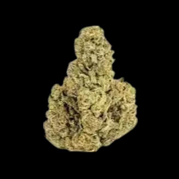 Cannabis der Sorte Apples and Gas