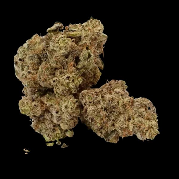 Cannabis der Sorte Platinum Pave