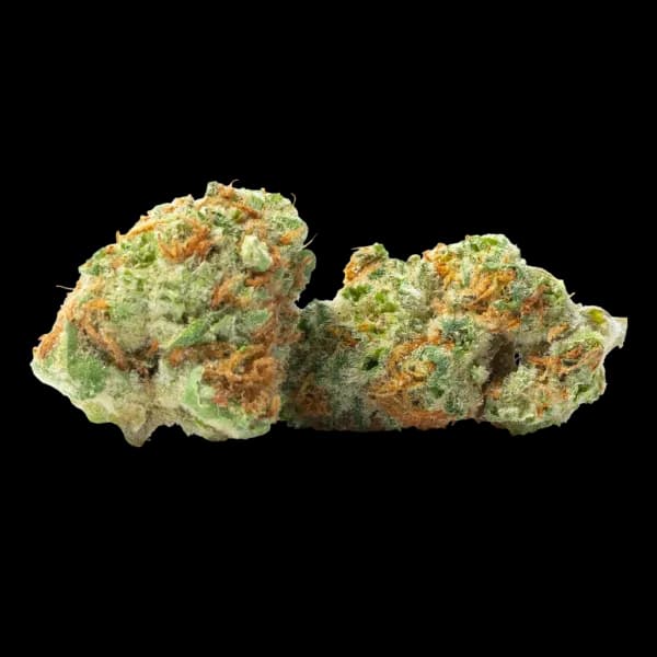 Cannabis der Sorte Ultra Sour