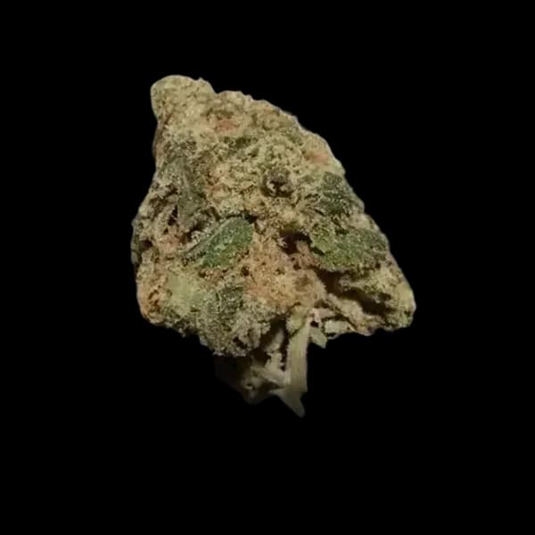 Cannabis der Sorte OMG