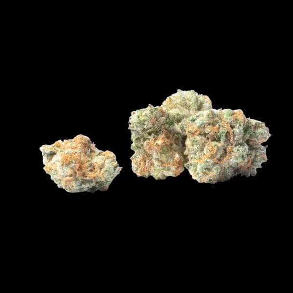 Cannabis der Sorte Candy Fumez