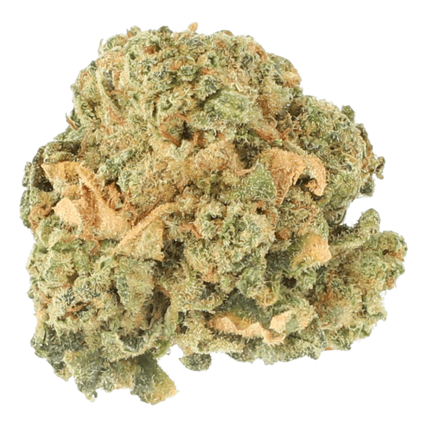 Cannabis der Sorte Chocolate Marshmallows