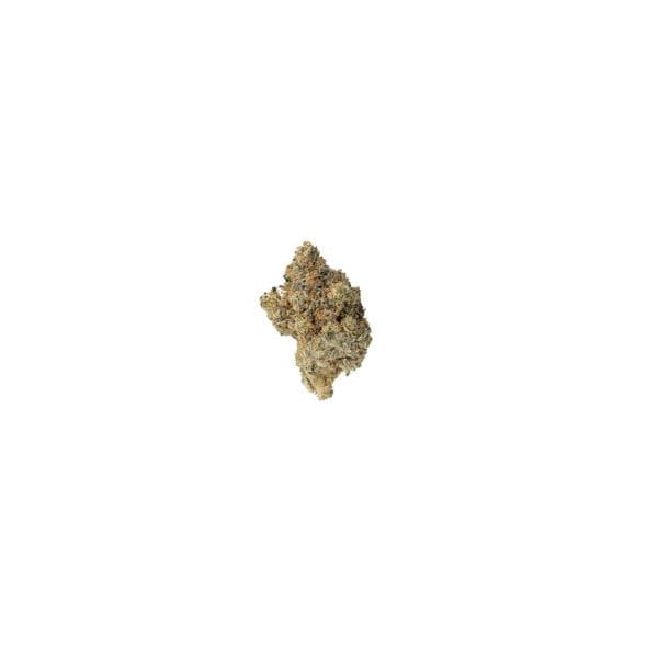 Cannabis der Sorte Platinum Oranges