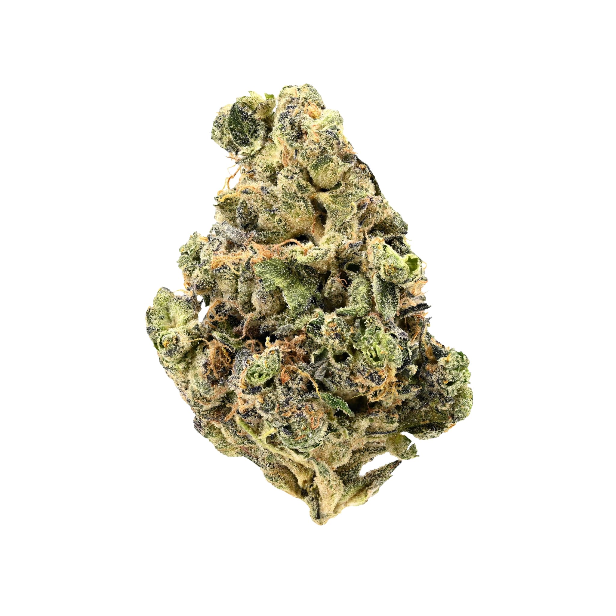 Cannabis der Sorte Siggis Pfefferminze