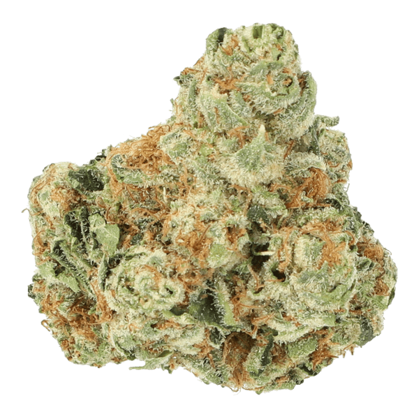 Cannabis der Sorte Tangie Chem