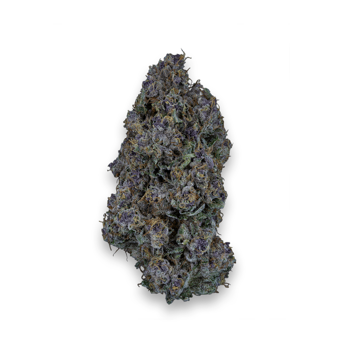 Cannabis der Sorte Triangle Queen