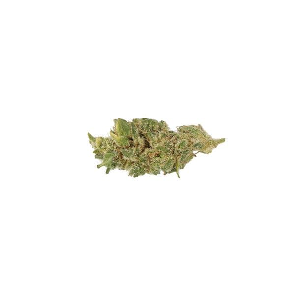 Cannabis der Sorte Zour Apple