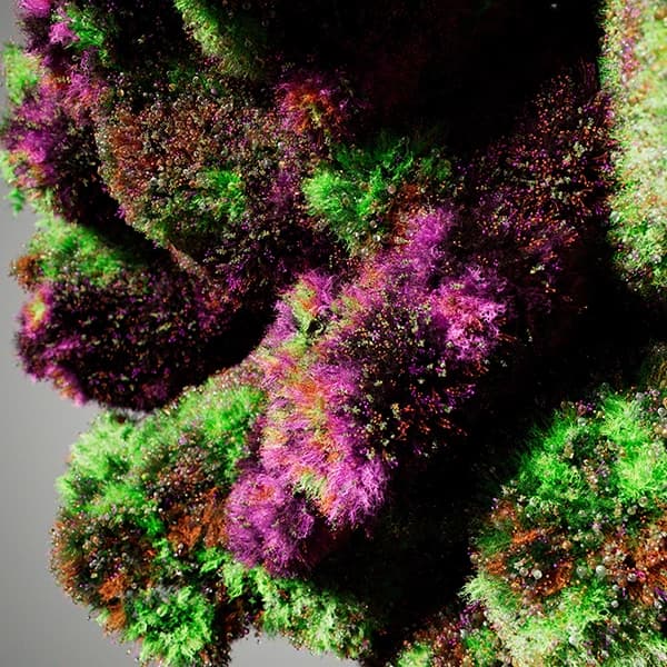 Standard-Bildbeschreibungstext