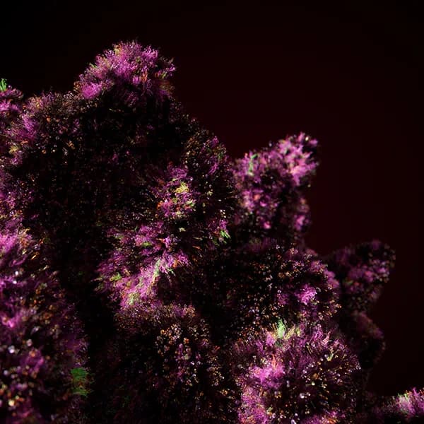 Standard-Bildbeschreibungstext