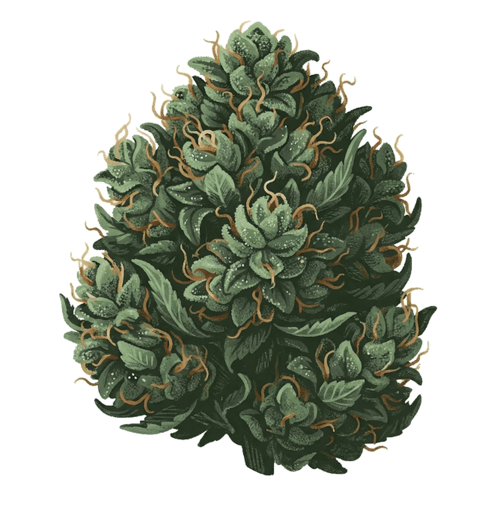 Khiron 19/1 Gelato