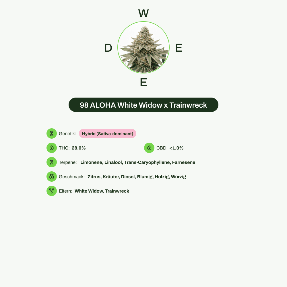 Infografik über THC-Gehalt, CBD-Gehalt, Terpene, Wirkungen, Geschmack von 98 ALOHA White Widow x Trainwreck