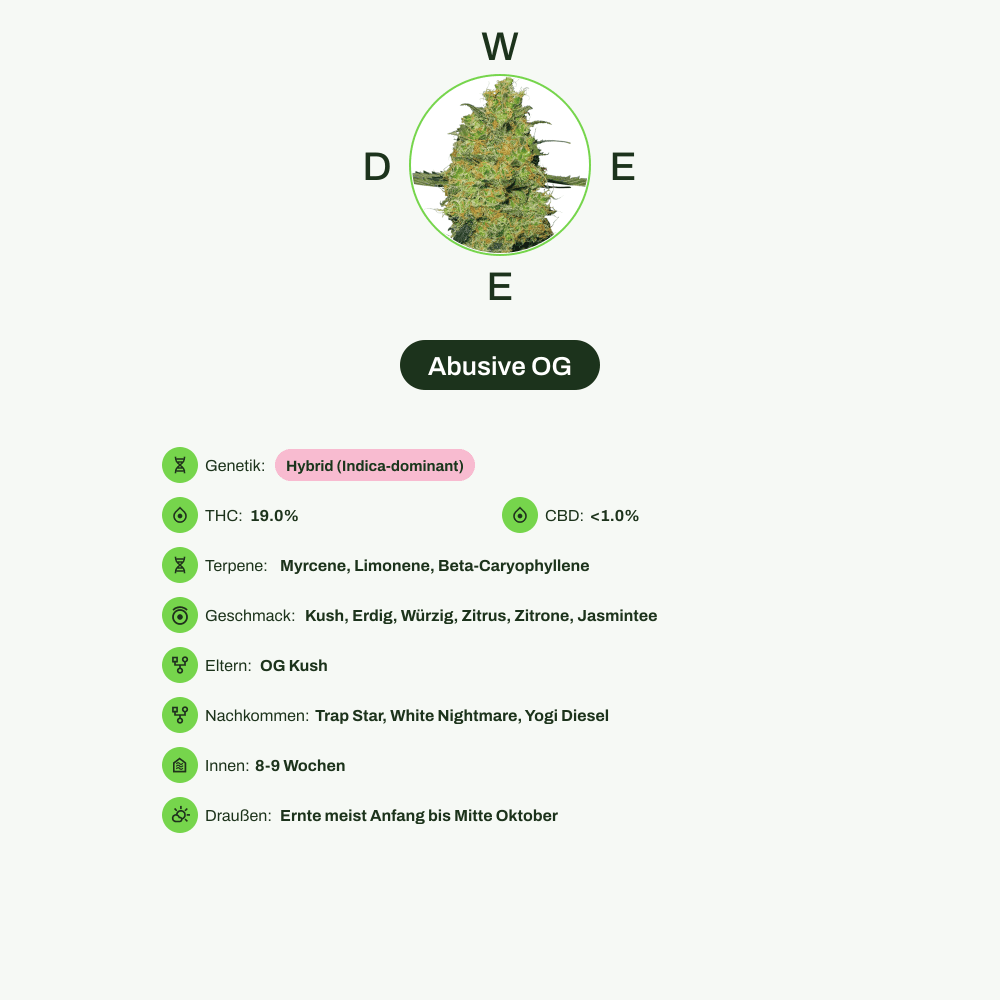 Infografik über THC-Gehalt, CBD-Gehalt, Terpene, Wirkungen, Geschmack von Abusive OG