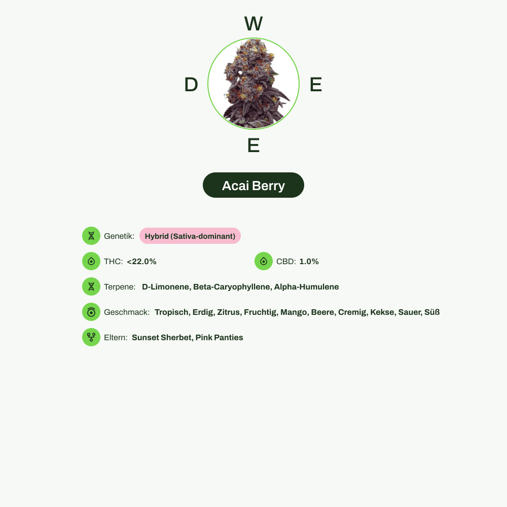 Infografik über THC-Gehalt, CBD-Gehalt, Terpene, Wirkungen, Geschmack von Acai Berry