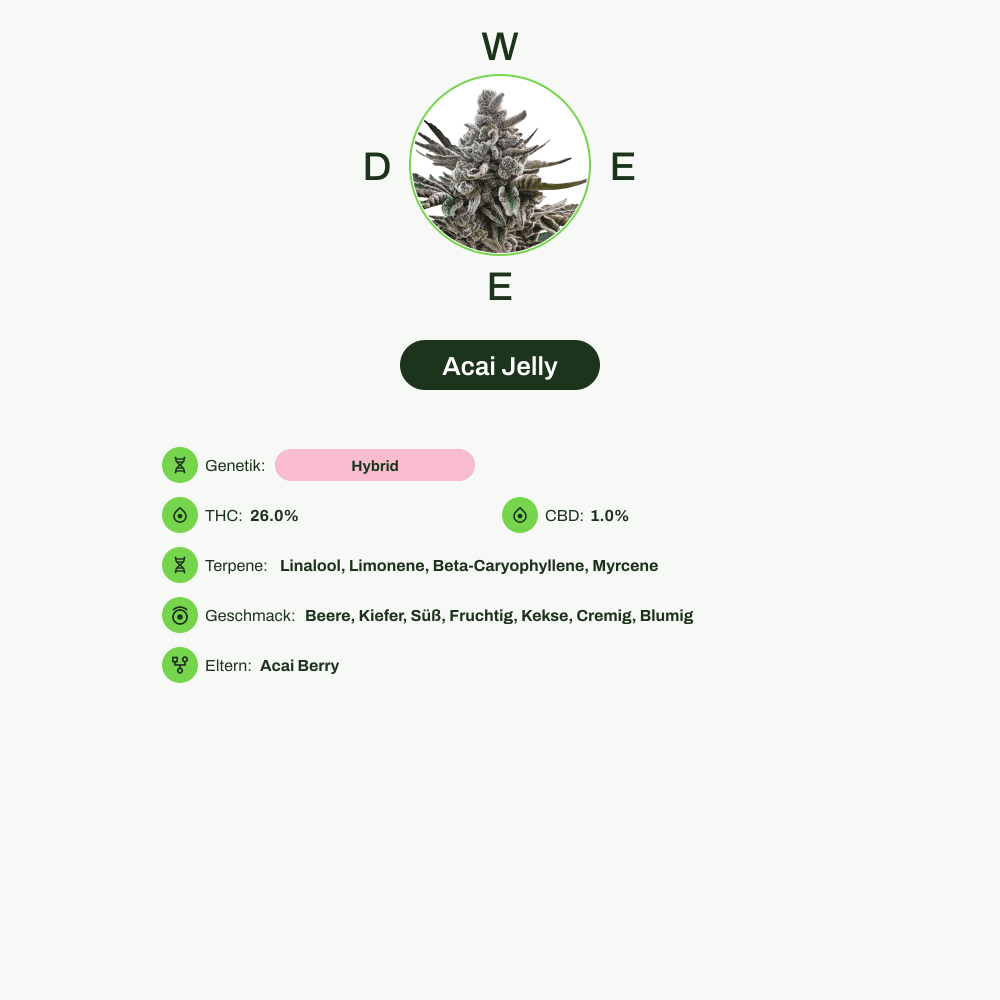 Infografik über THC-Gehalt, CBD-Gehalt, Terpene, Wirkungen, Geschmack von Acai Jelly