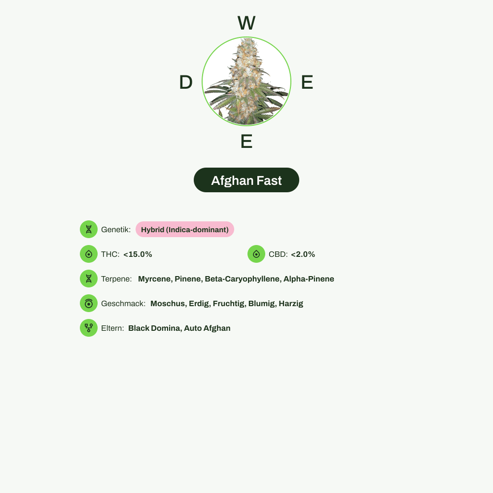 Infografik über THC-Gehalt, CBD-Gehalt, Terpene, Wirkungen, Geschmack von Afghan Fast
