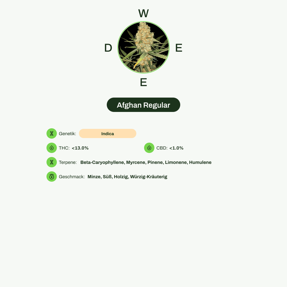 Infografik über THC-Gehalt, CBD-Gehalt, Terpene, Wirkungen, Geschmack von Afghan Regular