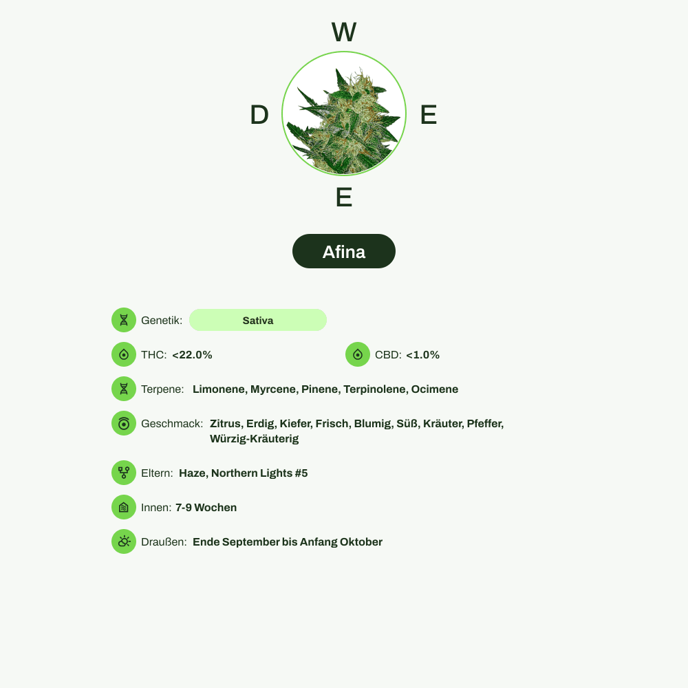 Infografik über THC-Gehalt, CBD-Gehalt, Terpene, Wirkungen, Geschmack von Afina