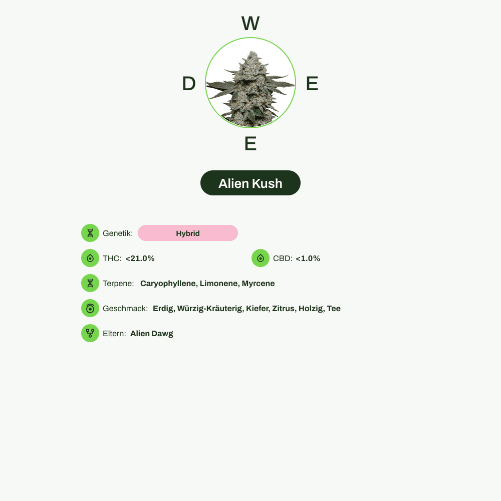 Infografik über THC-Gehalt, CBD-Gehalt, Terpene, Wirkungen, Geschmack von Alien Kush