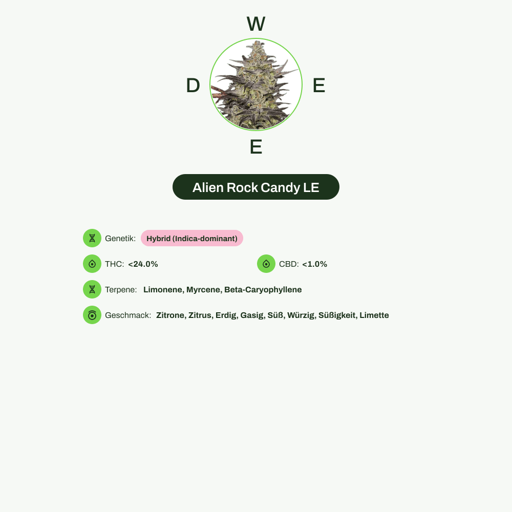 Infografik über THC-Gehalt, CBD-Gehalt, Terpene, Wirkungen, Geschmack von Alien Rock Candy LE