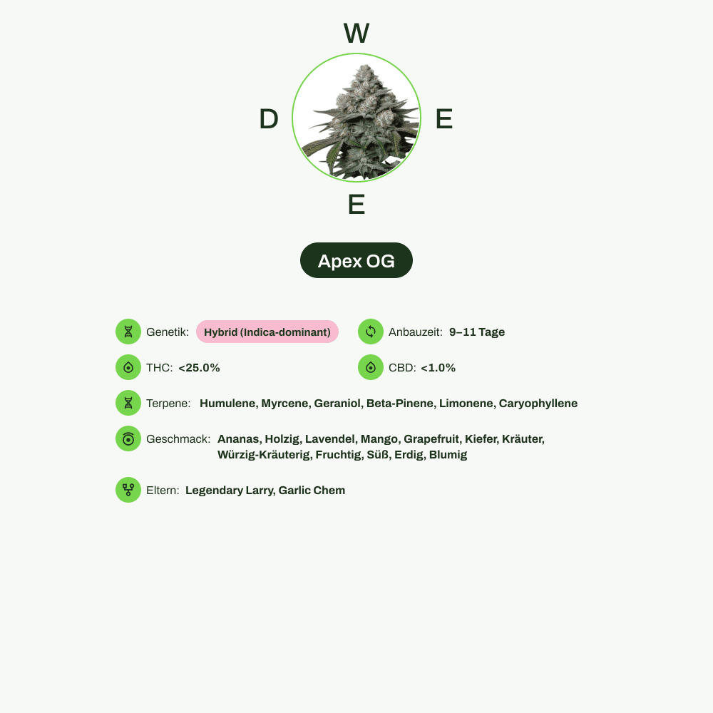 Infografik über THC-Gehalt, CBD-Gehalt, Terpene, Wirkungen, Geschmack von Apex OG