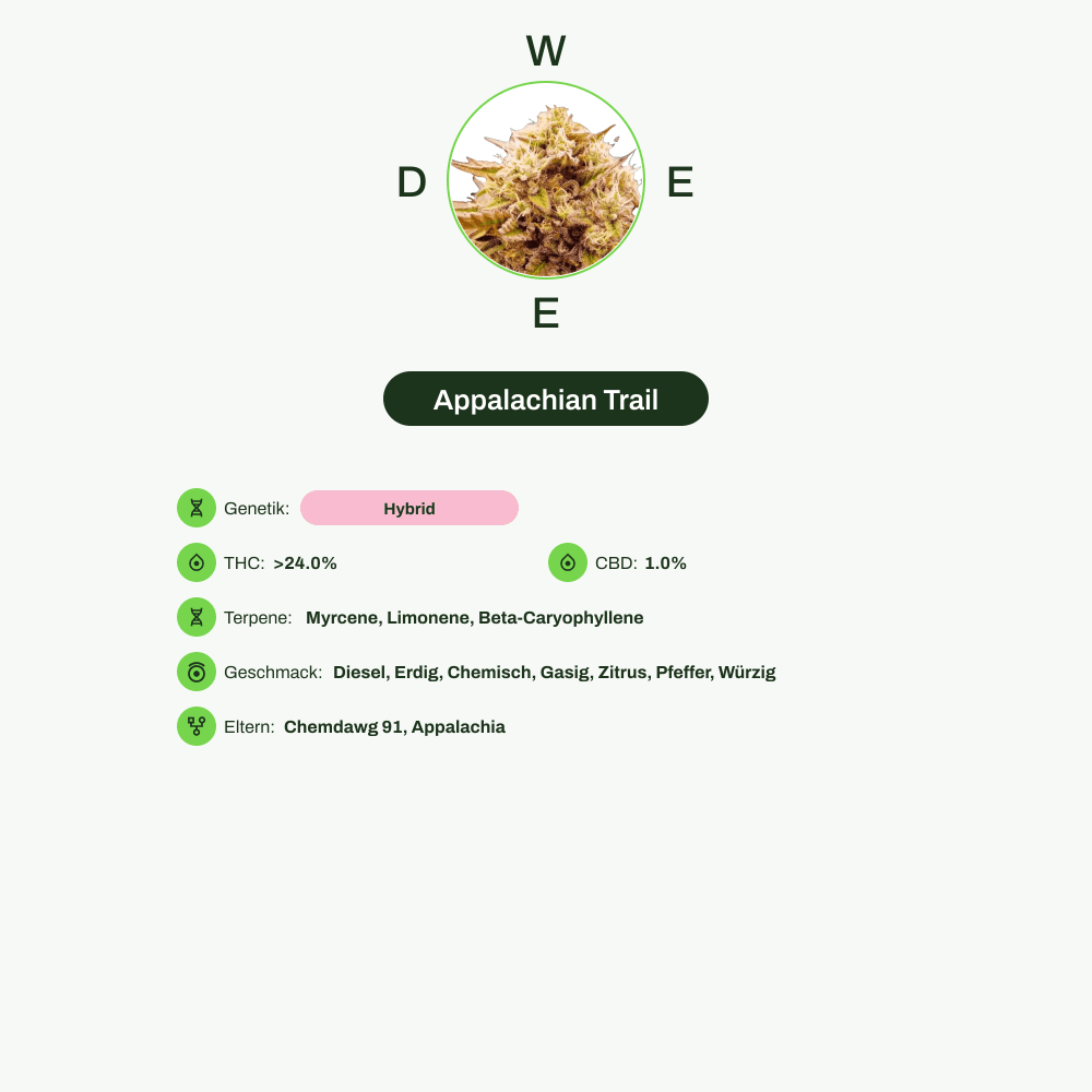 Infografik über THC-Gehalt, CBD-Gehalt, Terpene, Wirkungen, Geschmack von Appalachian Trail