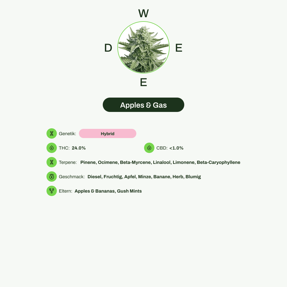 Infografik über THC-Gehalt, CBD-Gehalt, Terpene, Wirkungen, Geschmack von Apples & Gas