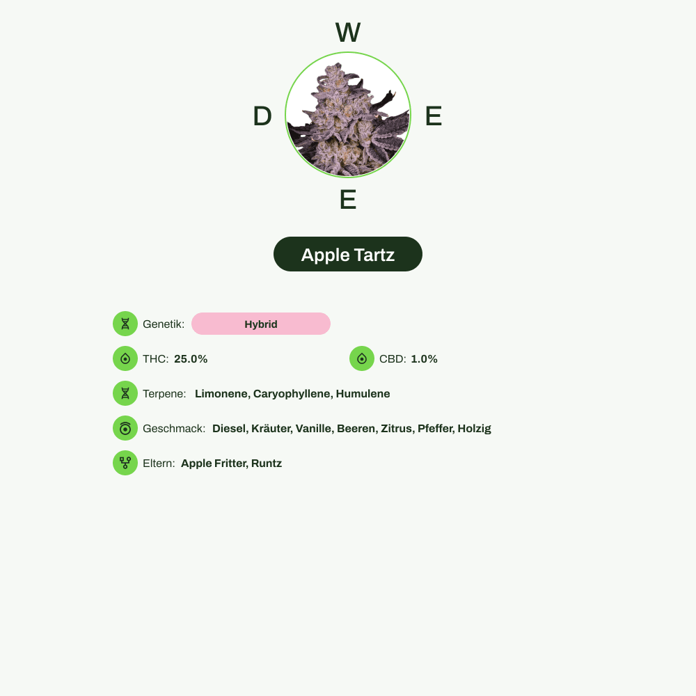 Infografik über THC-Gehalt, CBD-Gehalt, Terpene, Wirkungen, Geschmack von Apple Tartz