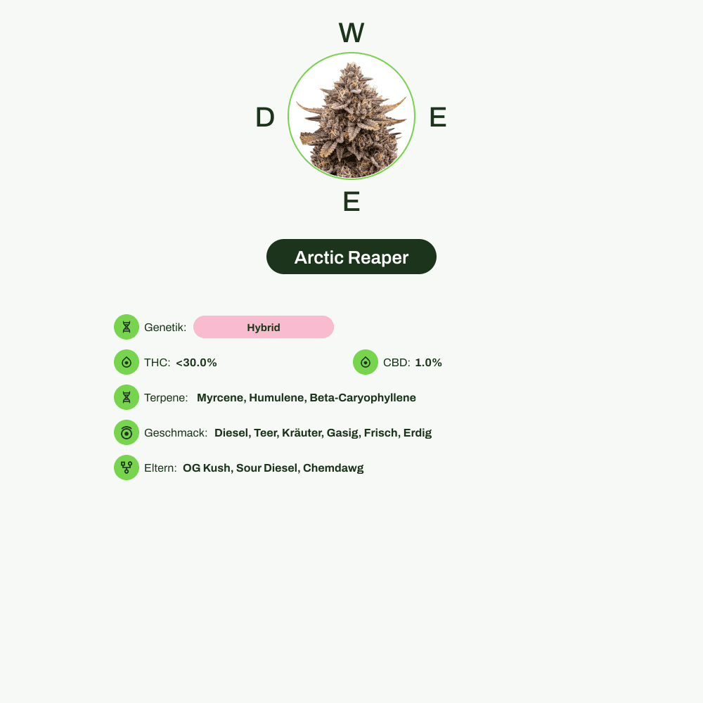 Infografik über THC-Gehalt, CBD-Gehalt, Terpene, Wirkungen, Geschmack von Arctic Reaper