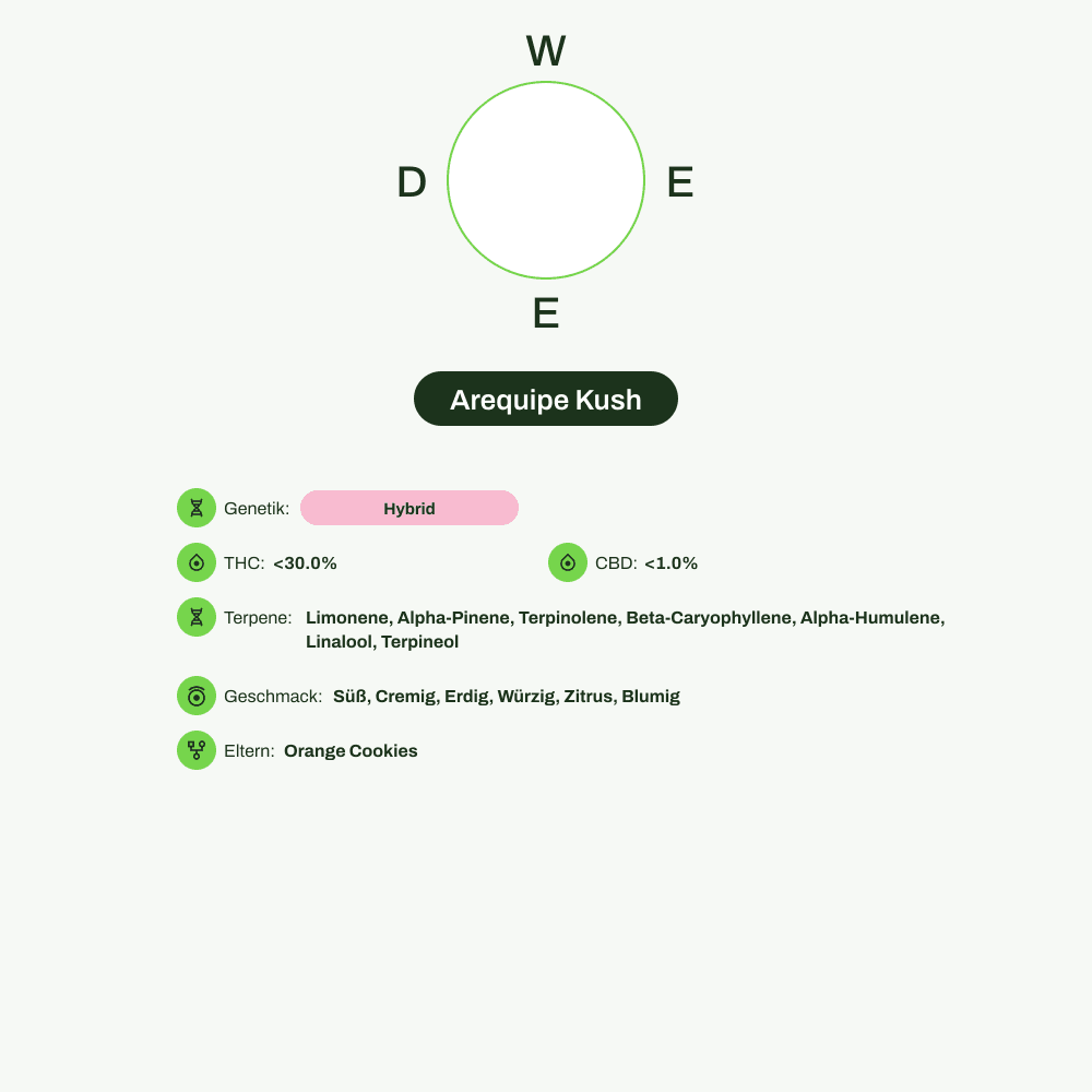 Infografik über THC-Gehalt, CBD-Gehalt, Terpene, Wirkungen, Geschmack von Arequipe Kush