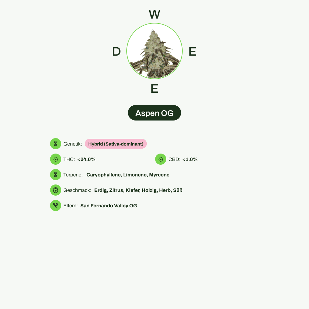 Infografik über THC-Gehalt, CBD-Gehalt, Terpene, Wirkungen, Geschmack von Aspen OG