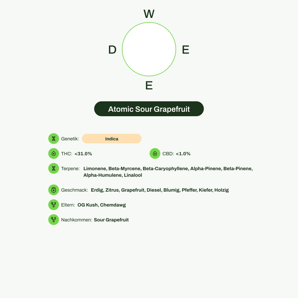 Infografik über THC-Gehalt, CBD-Gehalt, Terpene, Wirkungen, Geschmack von Atomic Sour Grapefruit