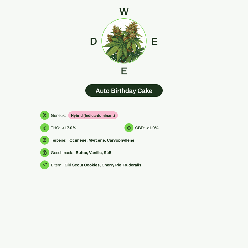 Infografik über THC-Gehalt, CBD-Gehalt, Terpene, Wirkungen, Geschmack von Auto Birthday Cake