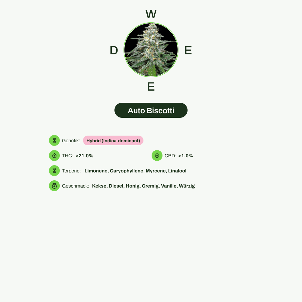 Infografik über THC-Gehalt, CBD-Gehalt, Terpene, Wirkungen, Geschmack von Auto Biscotti