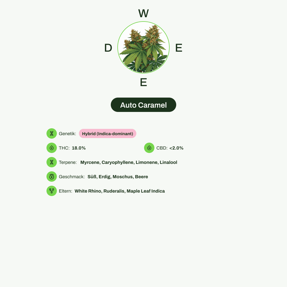 Infografik über THC-Gehalt, CBD-Gehalt, Terpene, Wirkungen, Geschmack von Auto Caramel