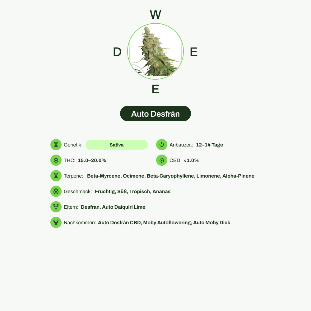 Infografik über THC-Gehalt, CBD-Gehalt, Terpene, Wirkungen, Geschmack von Auto Desfrán