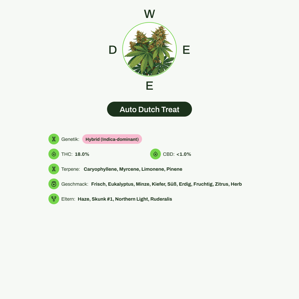 Infografik über THC-Gehalt, CBD-Gehalt, Terpene, Wirkungen, Geschmack von Auto Dutch Treat