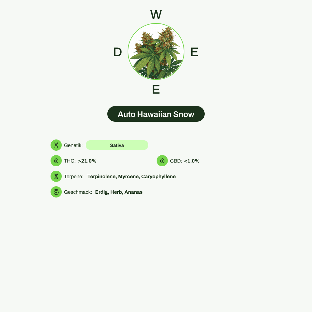 Infografik über THC-Gehalt, CBD-Gehalt, Terpene, Wirkungen, Geschmack von Auto Hawaiian Snow