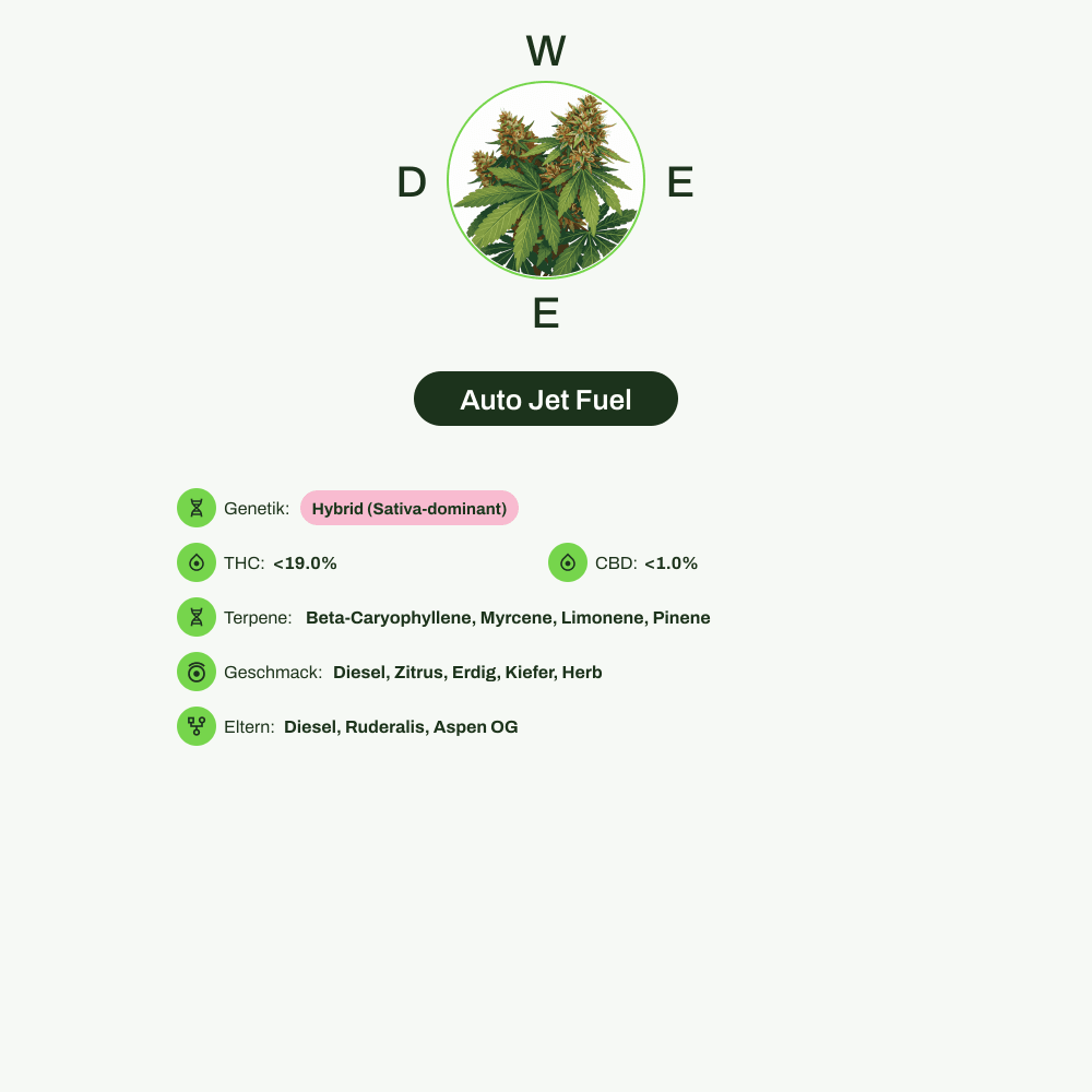 Infografik über THC-Gehalt, CBD-Gehalt, Terpene, Wirkungen, Geschmack von Auto Jet Fuel