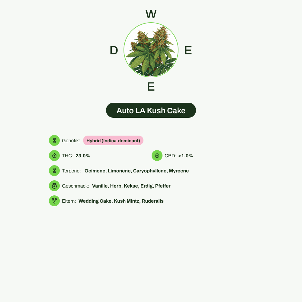 Infografik über THC-Gehalt, CBD-Gehalt, Terpene, Wirkungen, Geschmack von Auto LA Kush Cake